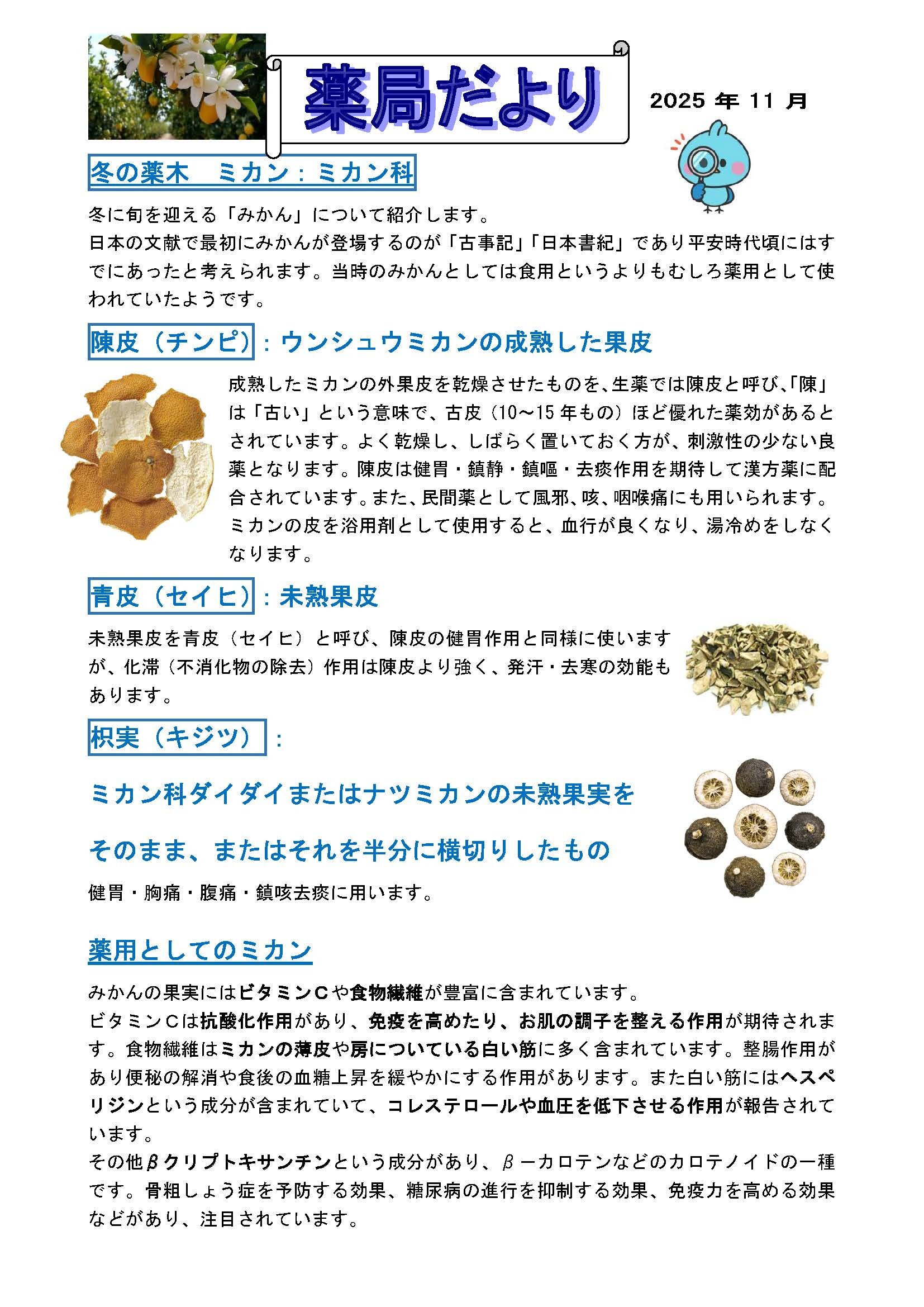 11月の 薬局だよりの画像