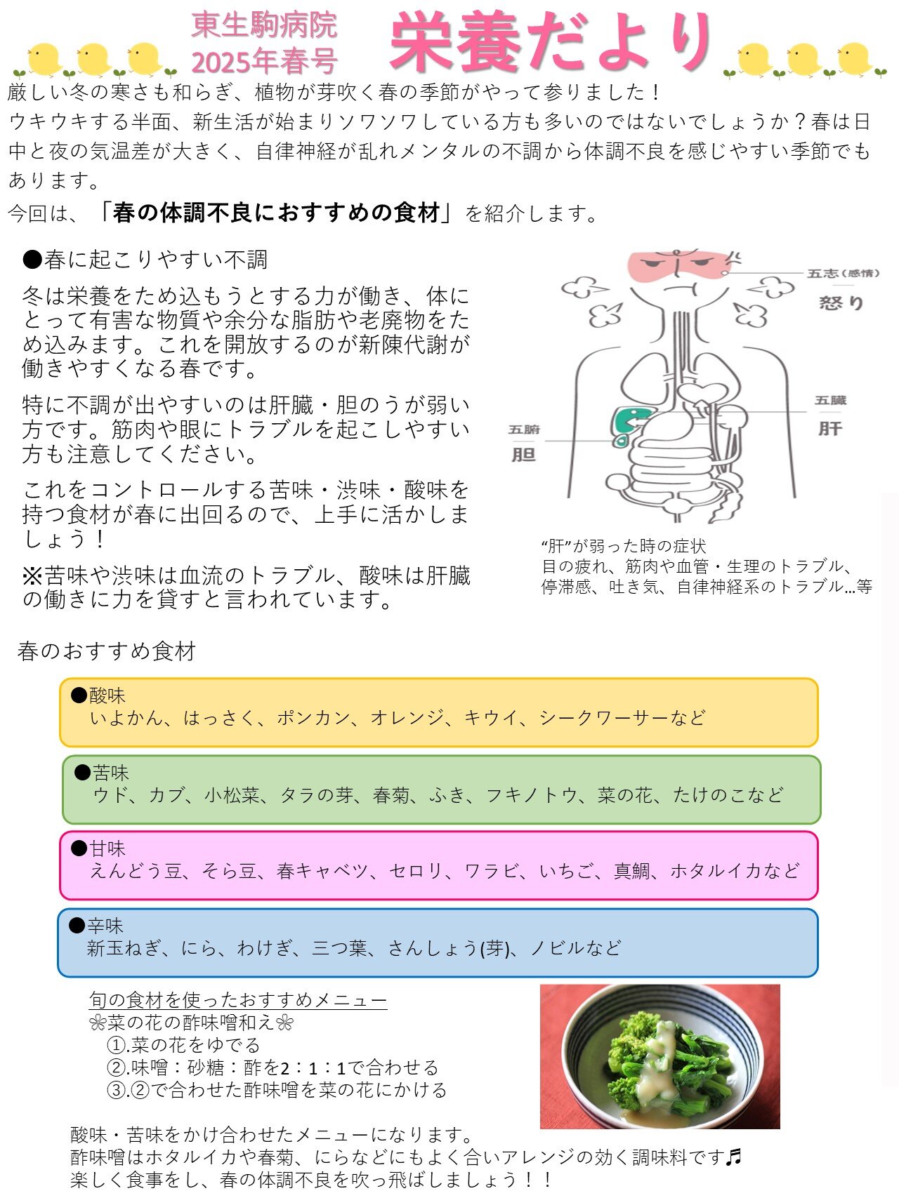 春号の栄養だよりの写真