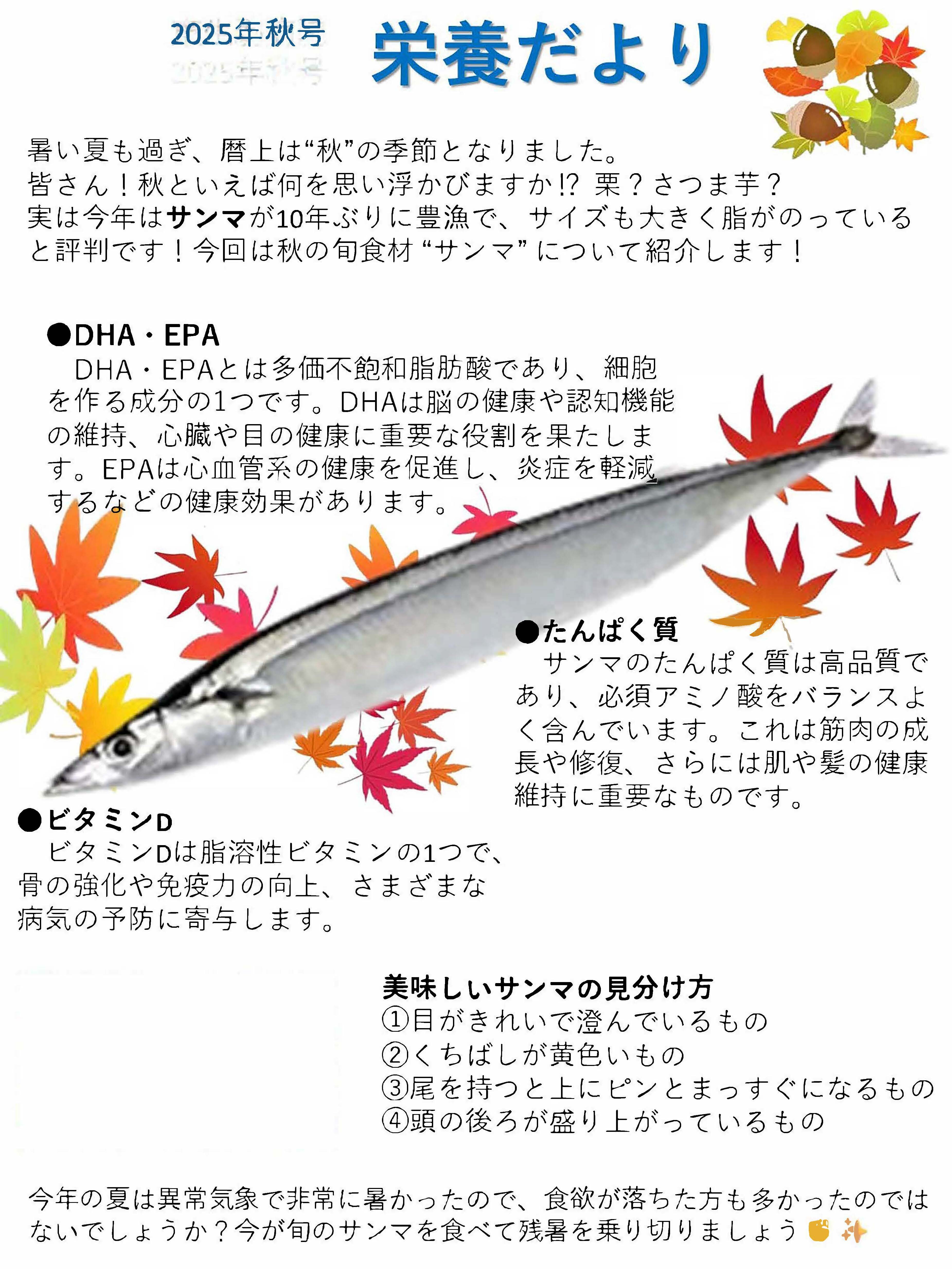 秋号の栄養だよりの画像