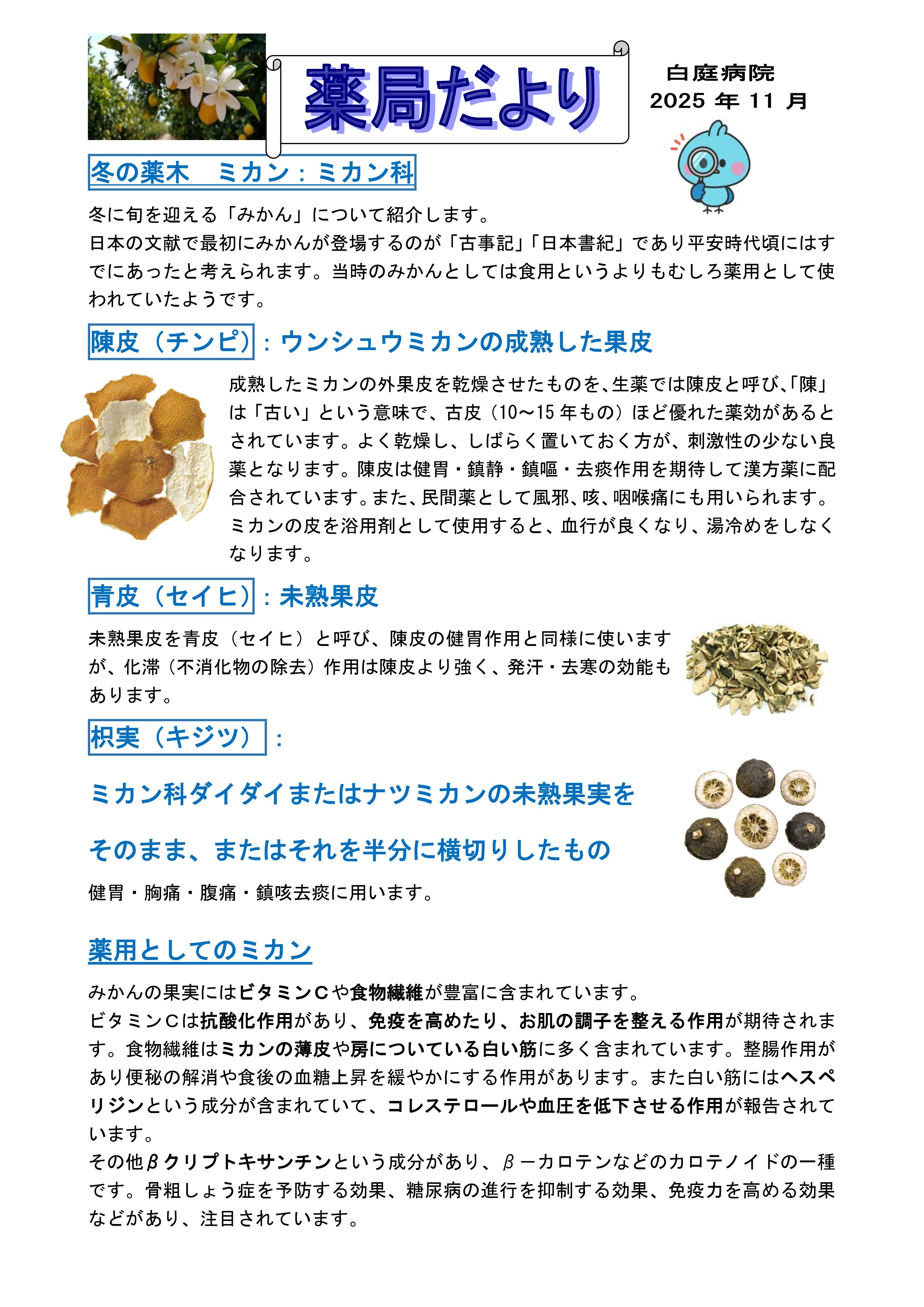 薬局だより 11月号①の写真