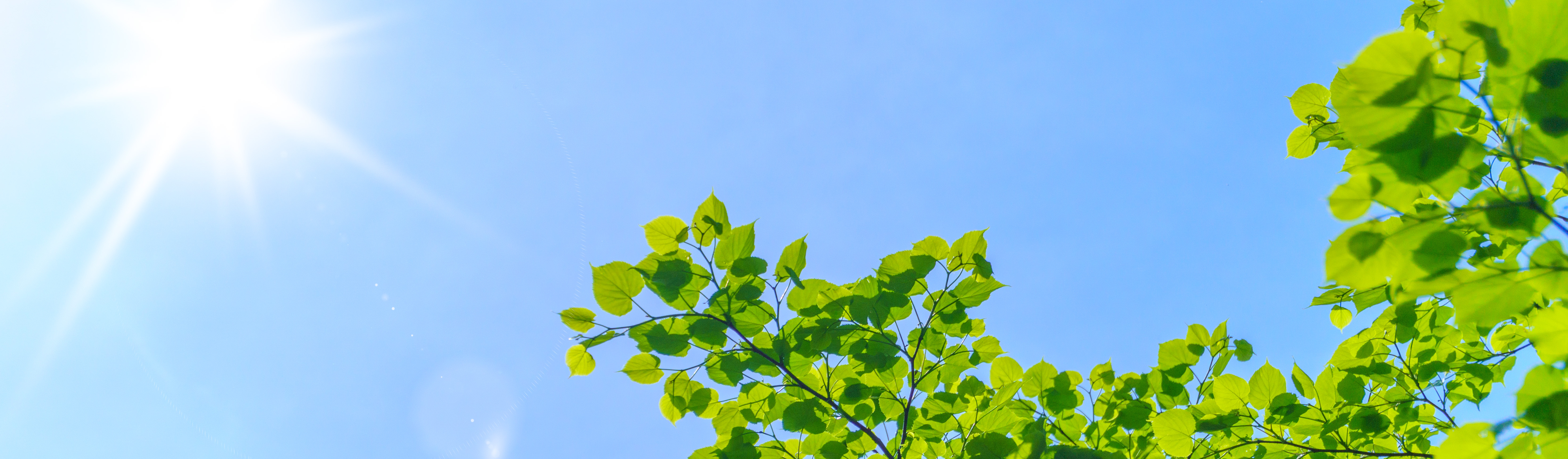 取り組みイメージ